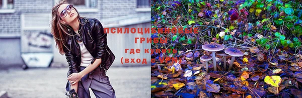 мескалин Балахна