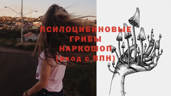 тгк Ступино