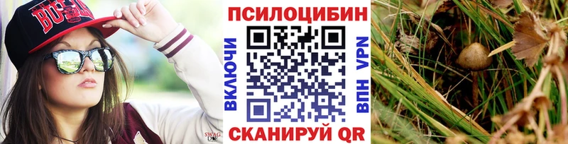 маркетплейс официальный сайт  как найти наркотики  Зуевка  Псилоцибиновые грибы мухоморы 